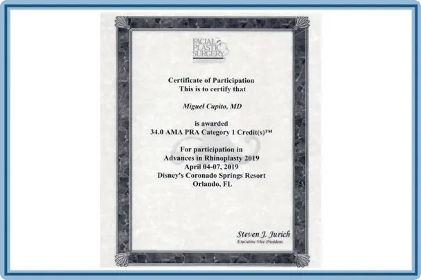 Certificado Disertante Injertos en Rinoplastias — UBA Facultad de Medicina, 2010
